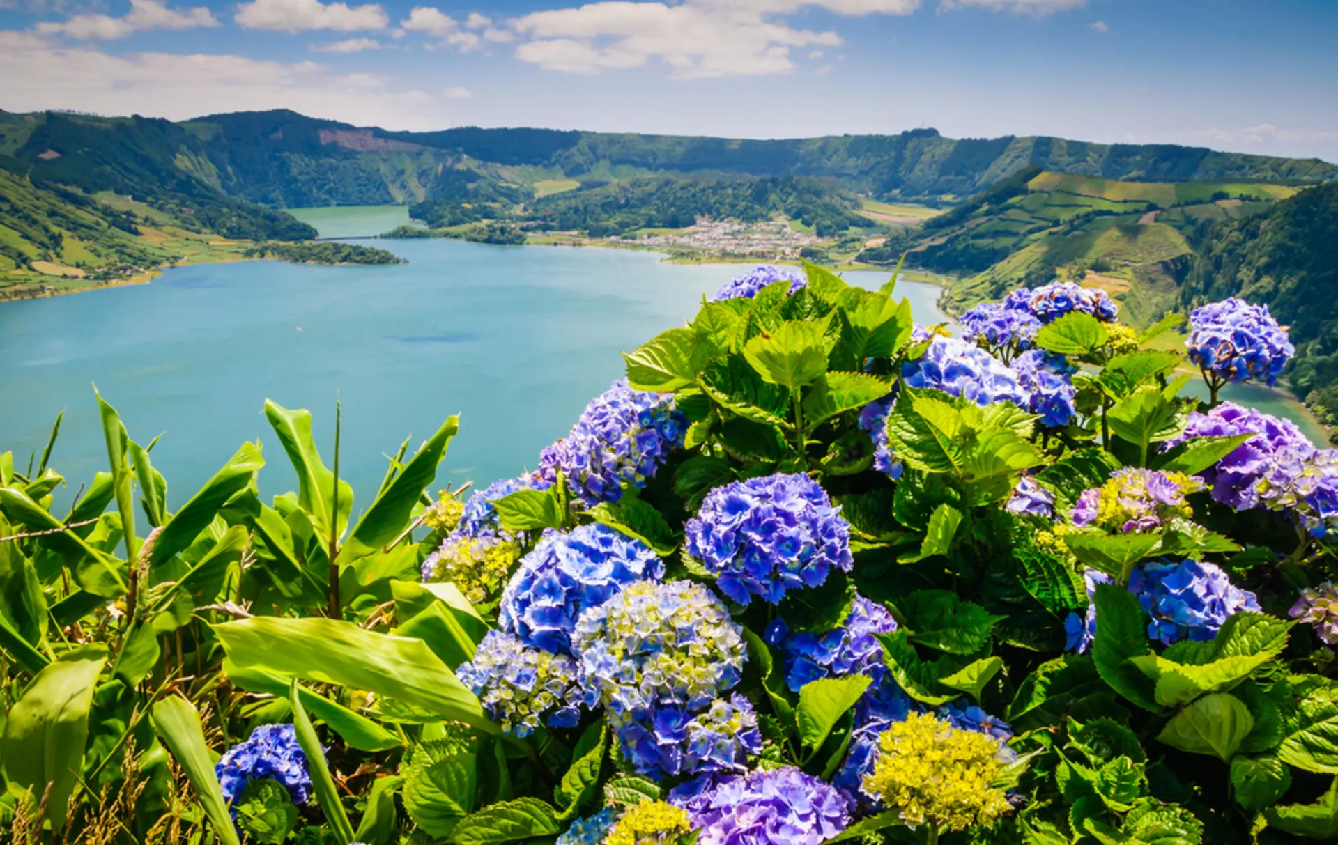 Azoren-Sao Miguel-sete cidades-blauwe hortensia's met meer