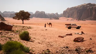 Wadi Rum Jeep kameel