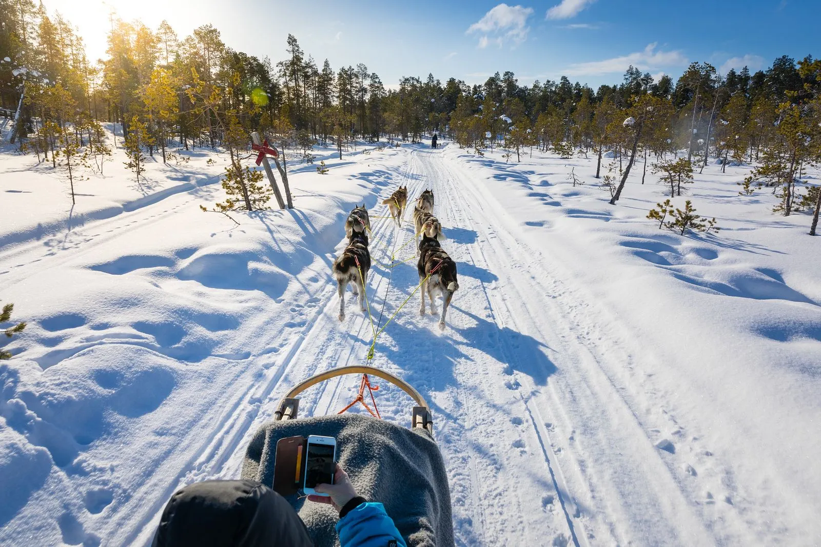 Finland-Inari-husky-safari
