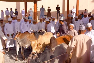 Omani mannen bij Geitenmarkt, vrijdag, veemarkt, Nizwa, Oman