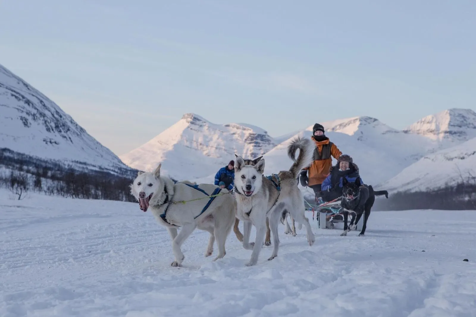 &olives-Noorwegen-Camp Tamok-dogslede excursie