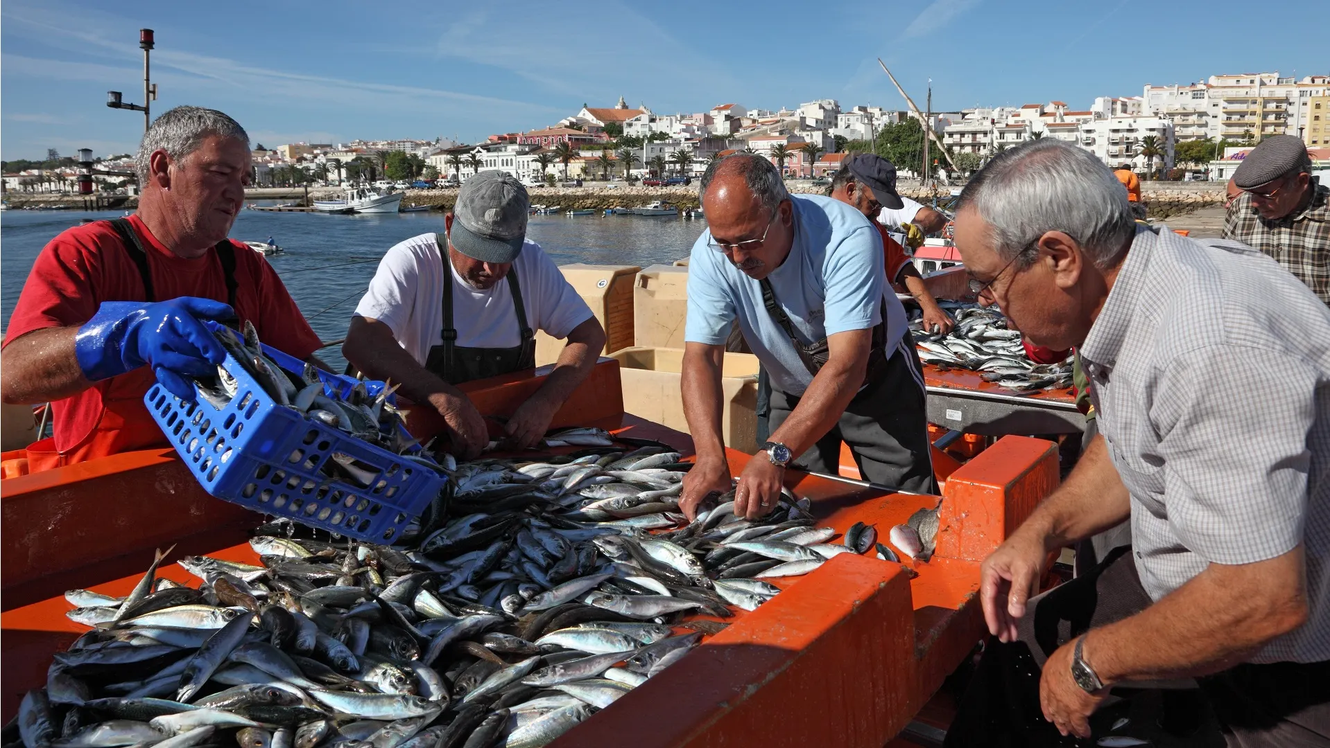 Vissers op Vismarkt in Lagos, Algarve, Portugal