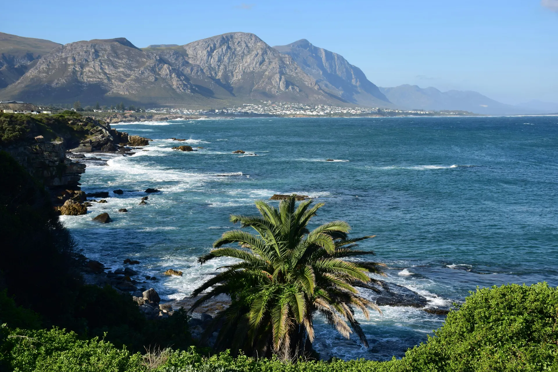 &Olives-Zuid-Afrika-Hermanus-bay view