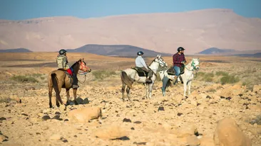 Paardrijden bij Desert Shade Lodge, Mitzpe Ramon, Israël