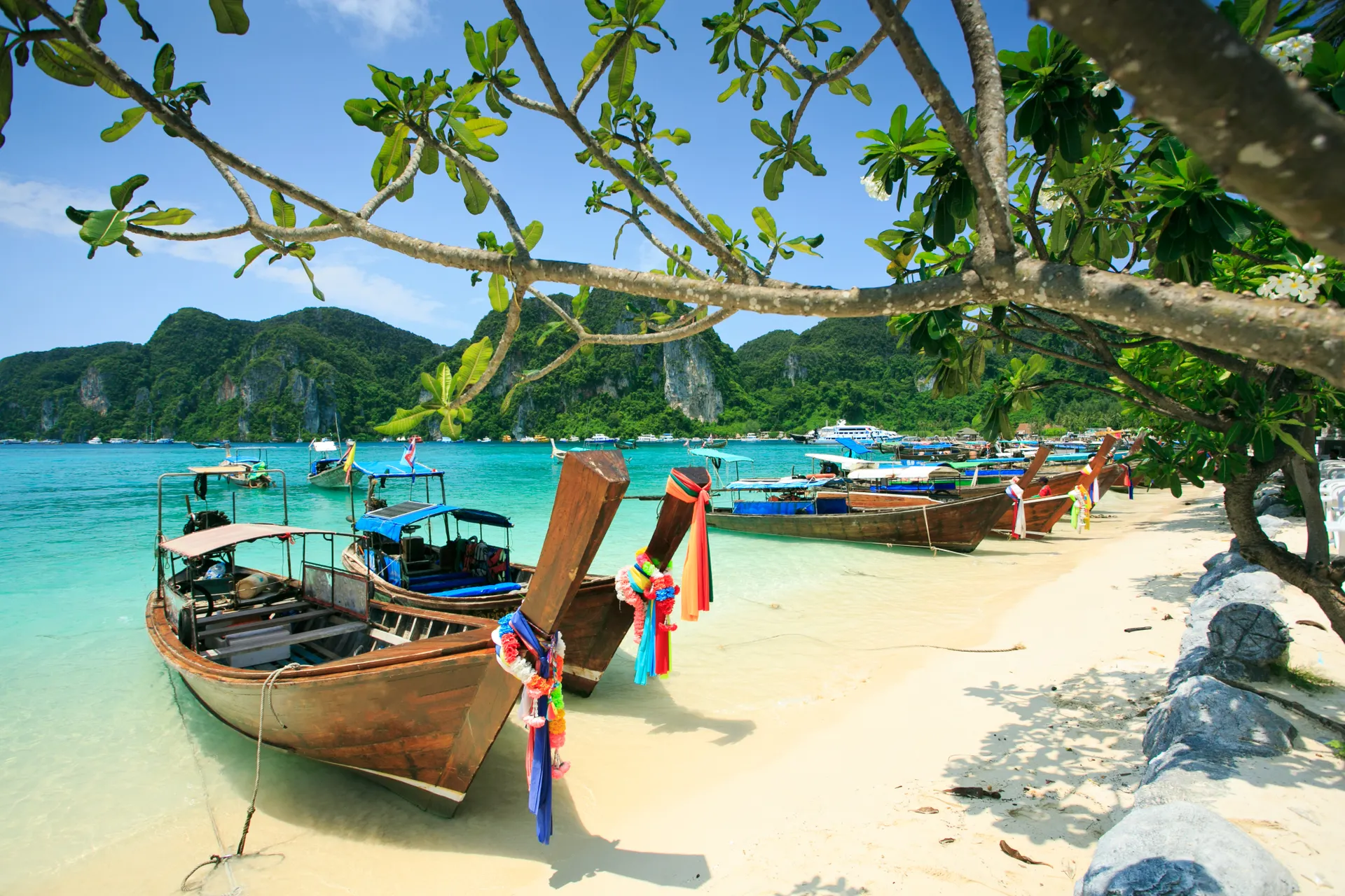 Thailand Long tail boats in Phi Phi Island