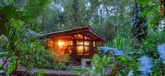 AndOlives-Costa Rica-Nicuesa Rainforest lodge-cabin