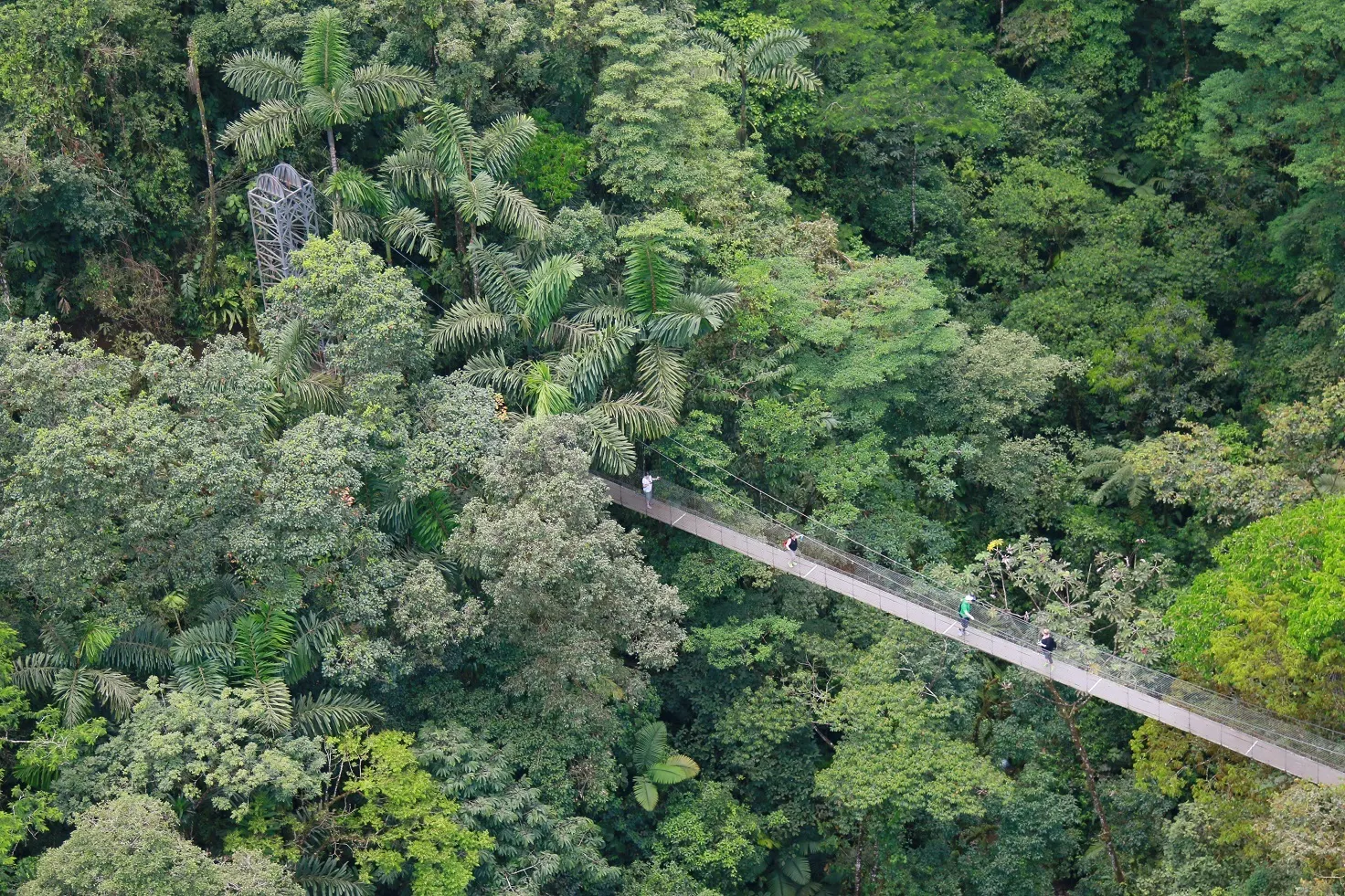 Hanging bridges La Fortuna