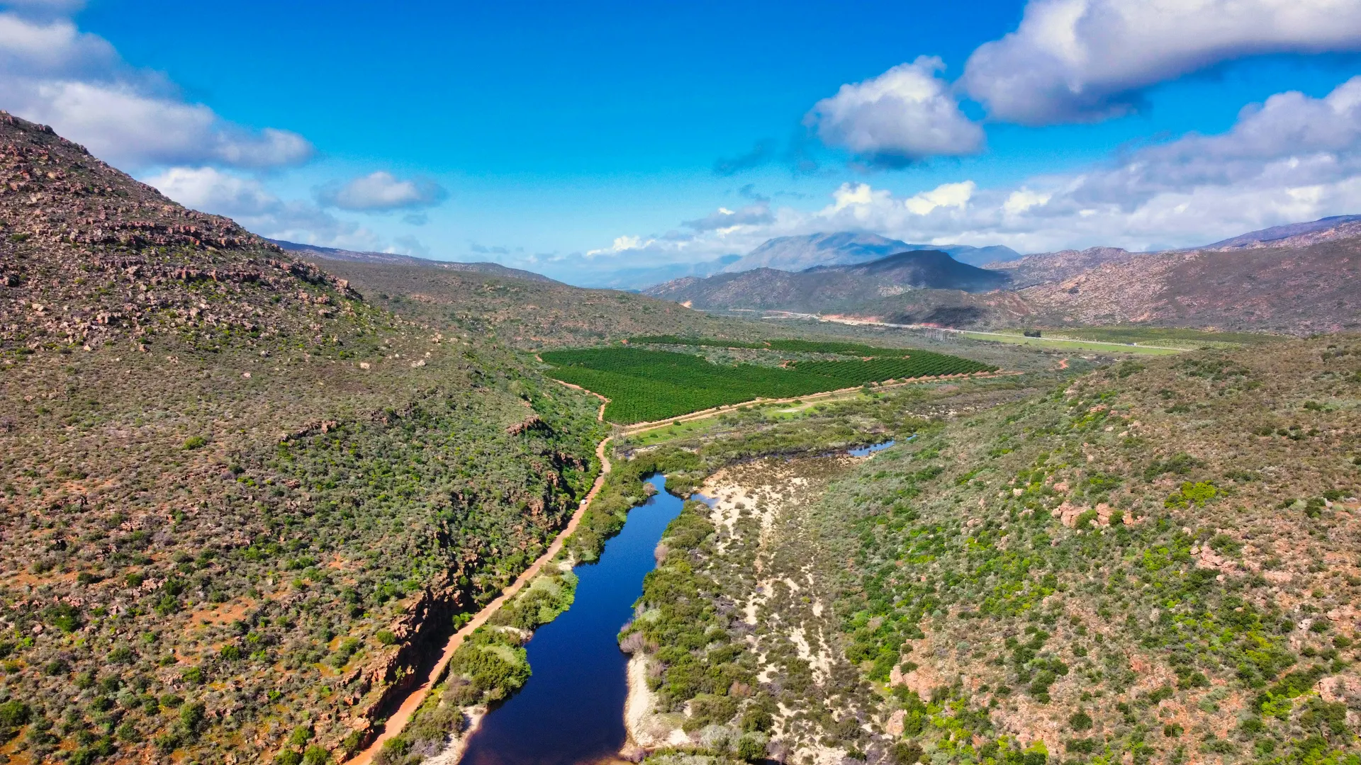 &Olives-Zuid-Afrika-Cederberg-overview