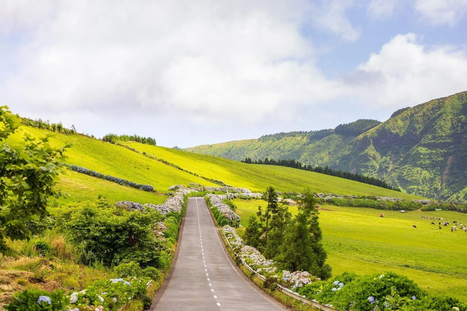 Impressie Great Azorean Circuit per huurauto