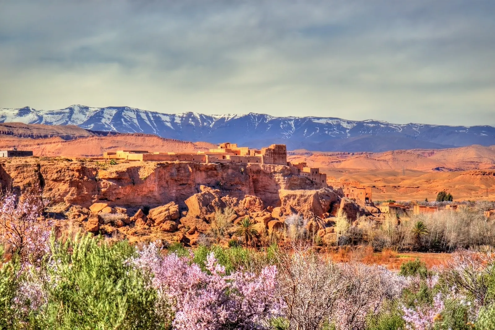 &Olives_Morocco_Snowy High Atlas Mountains above Kalaat M'Gouna town in Morocco, the Rose Valley