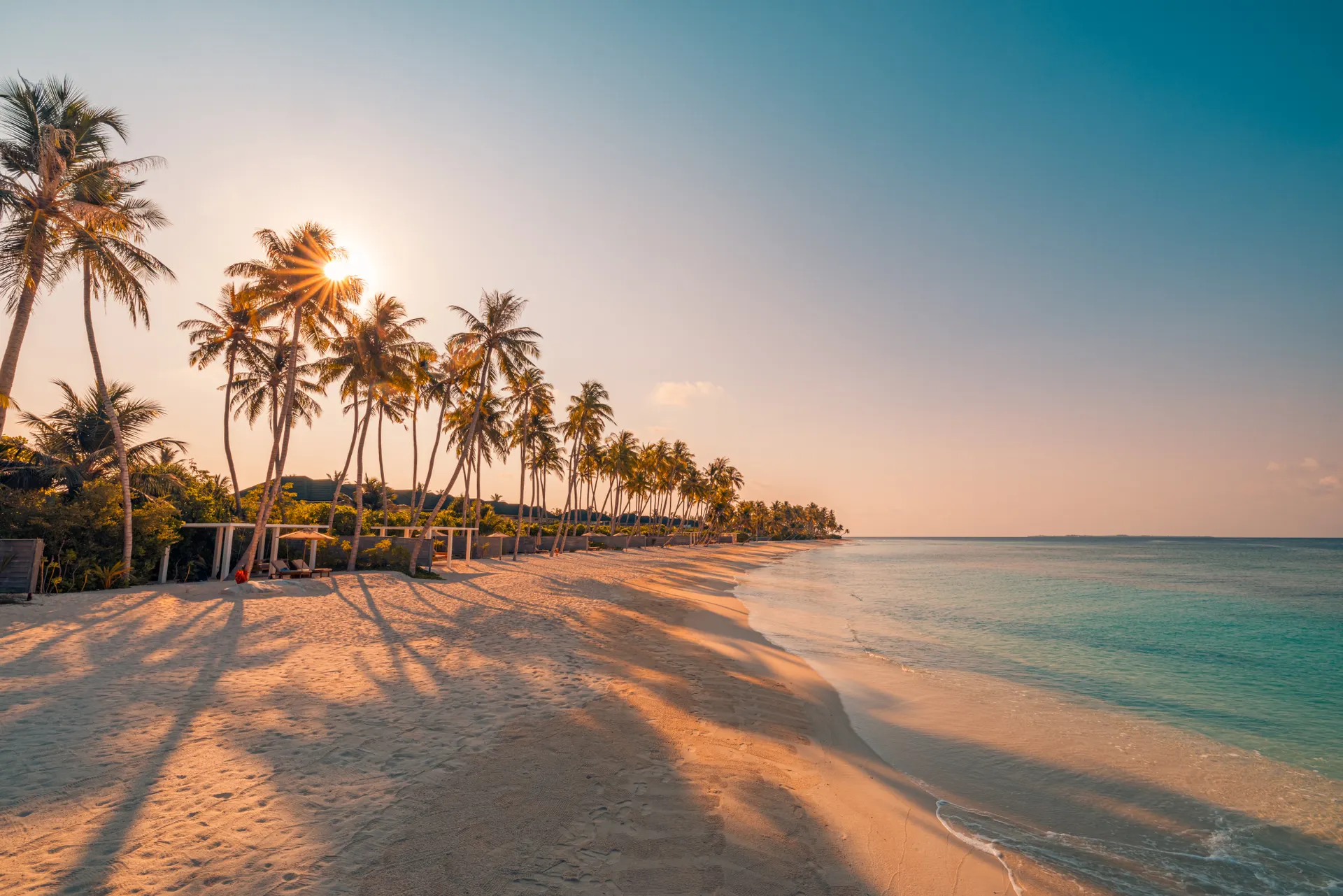 Header vroegboekkorting 2026