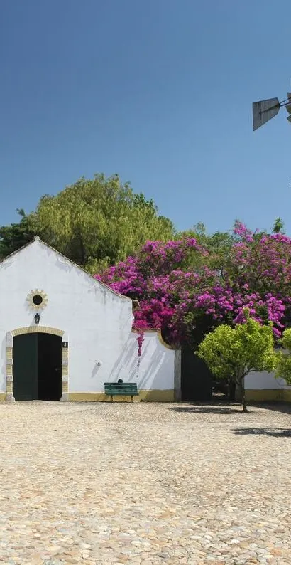 Quinta da Praia das Fontes