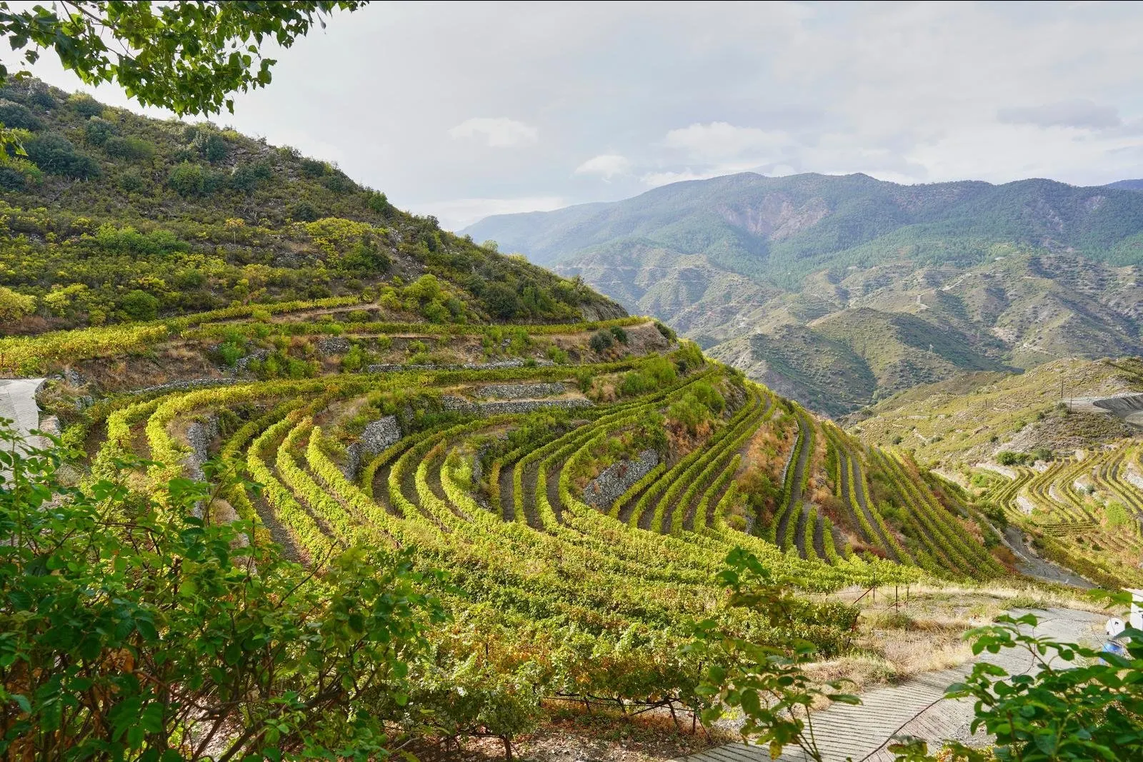 Fly-drive Couleur locale 11 dagen.