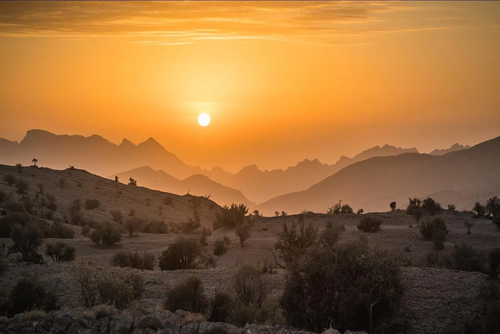 Ontspannen Oman.