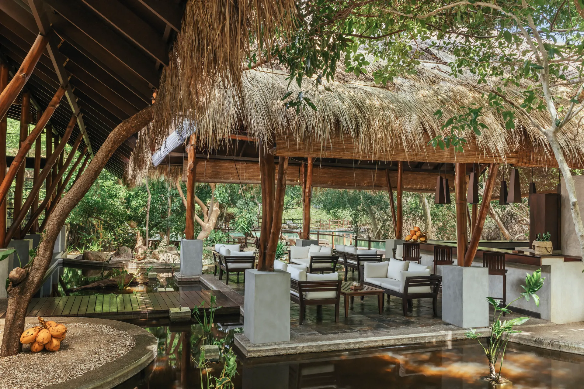 Sri Lanka-Trincomalee-Jungle Beach