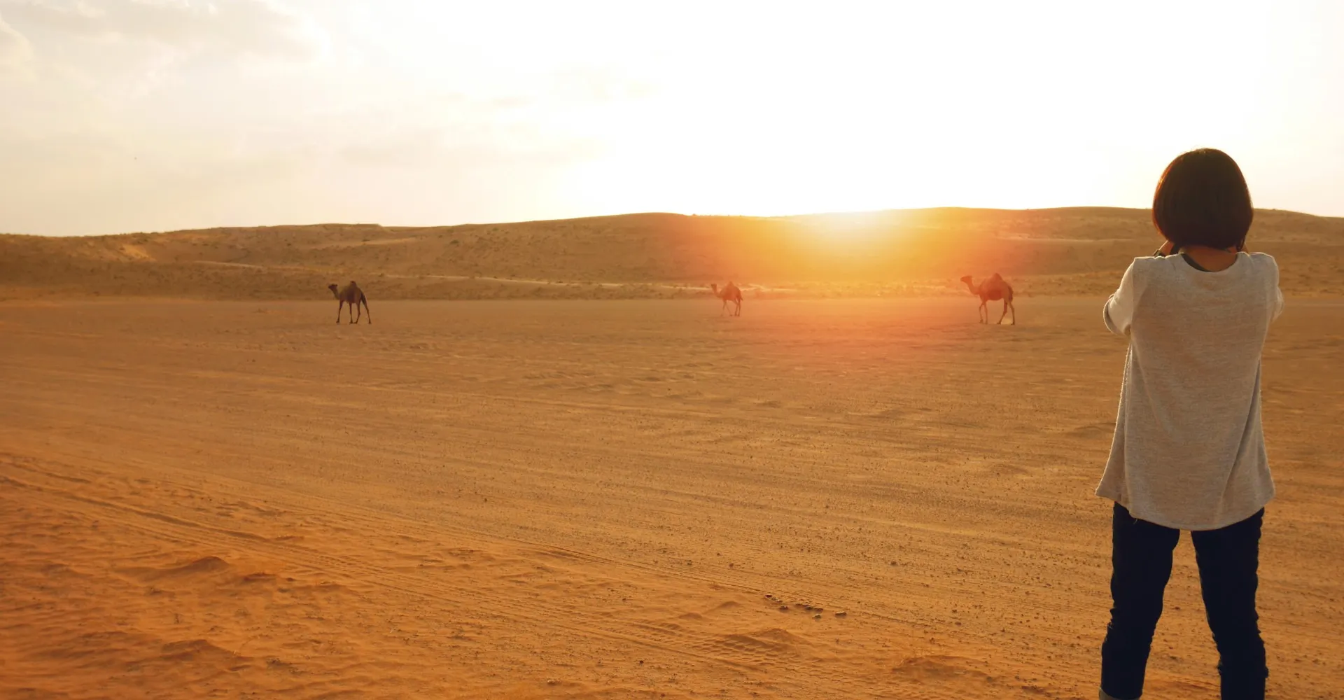 Vrouw in woestijn met kamelen op de achtergrond tijdens zonsondergang, Wahiba Sands, Oman