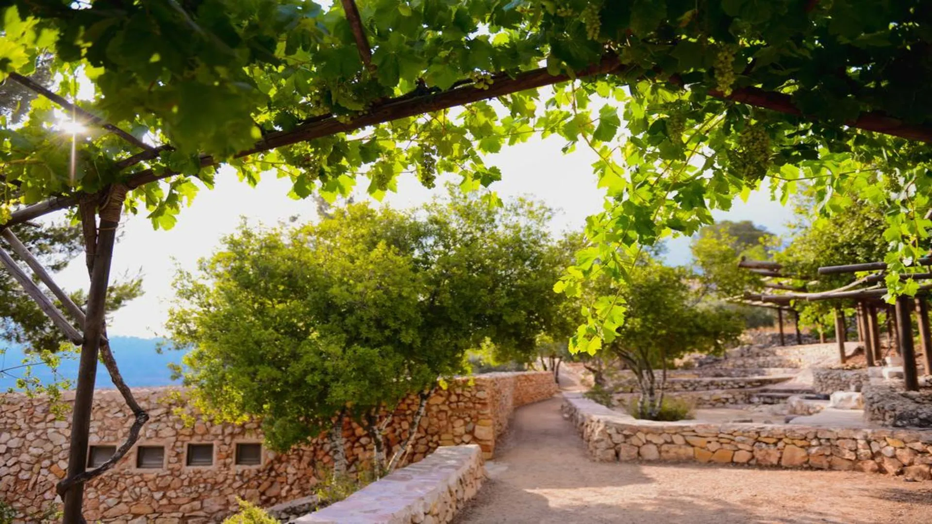 Mooie begroeiing bij Kibboets Yad Hasmona, regio Jeruzalem, Israël
