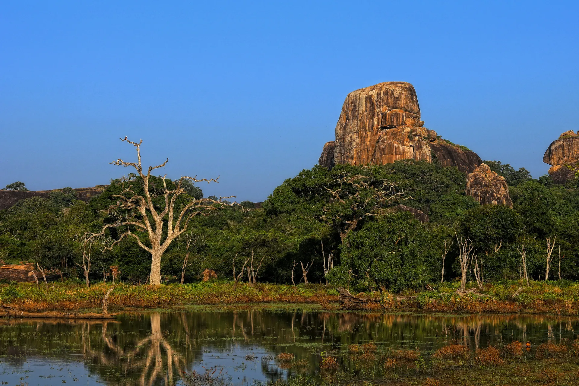 Sri Lanka-Yala NP