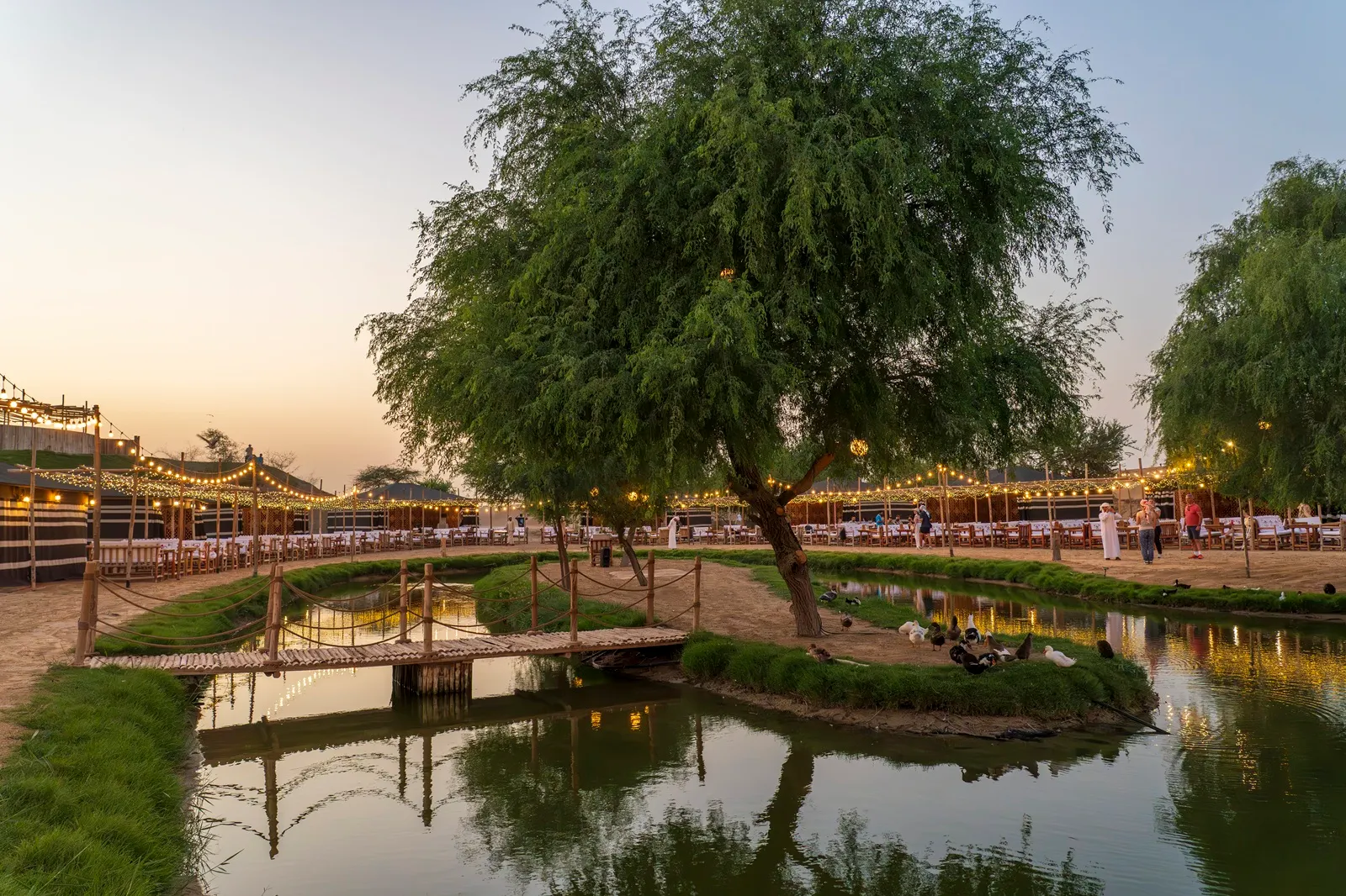 Al Marmoom Oasis (Dubai desert reserve) - ambiance