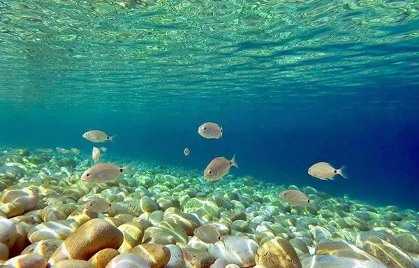 Eilandhoppen 8 dagen Paxos-Corfu 3.