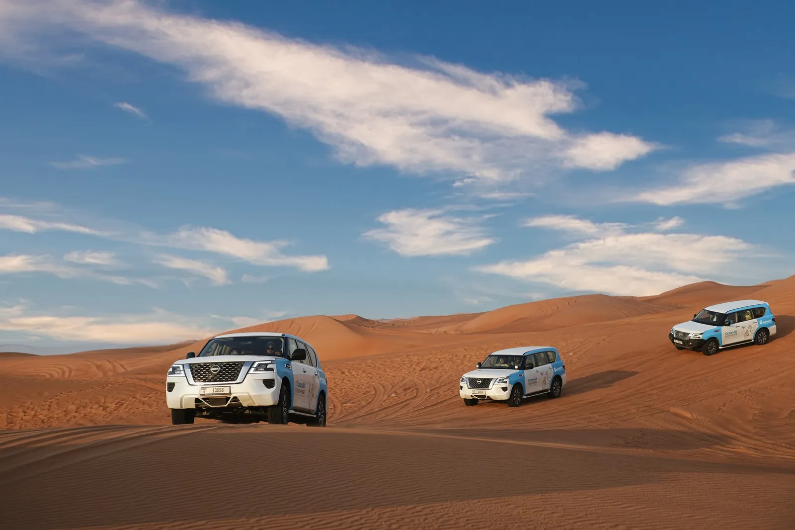Al Marmoom Oasis (Dubai desert reserve) - auto's in woestijn
