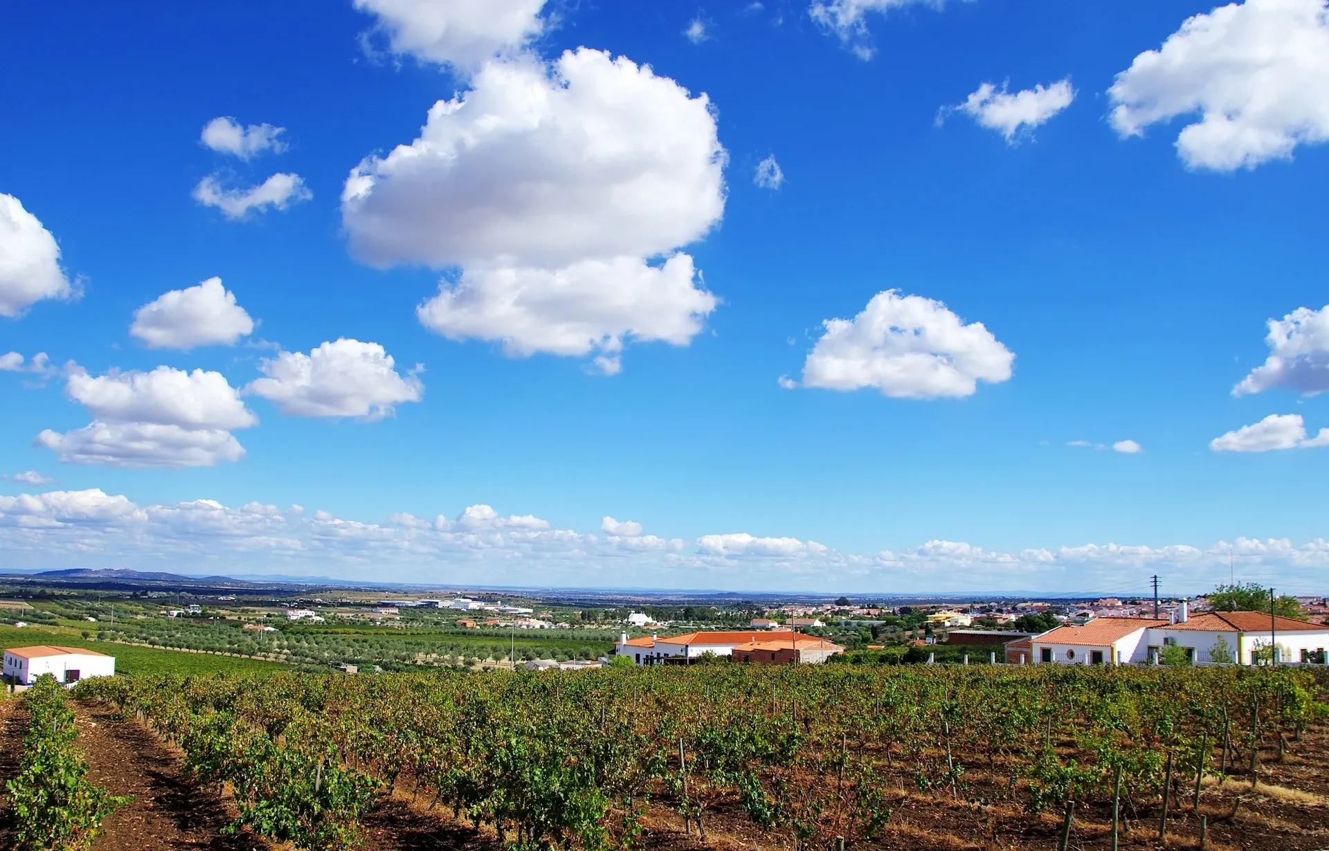 Fly drive Alentejo couleur locale 8 dagen