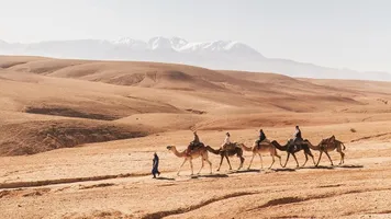 Kamelen in Agafay woestijn met Atlas gebergte op achtergrond, Agafay, Marokko