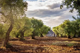 Fly-drive Ontdek Puglia 11 dagen