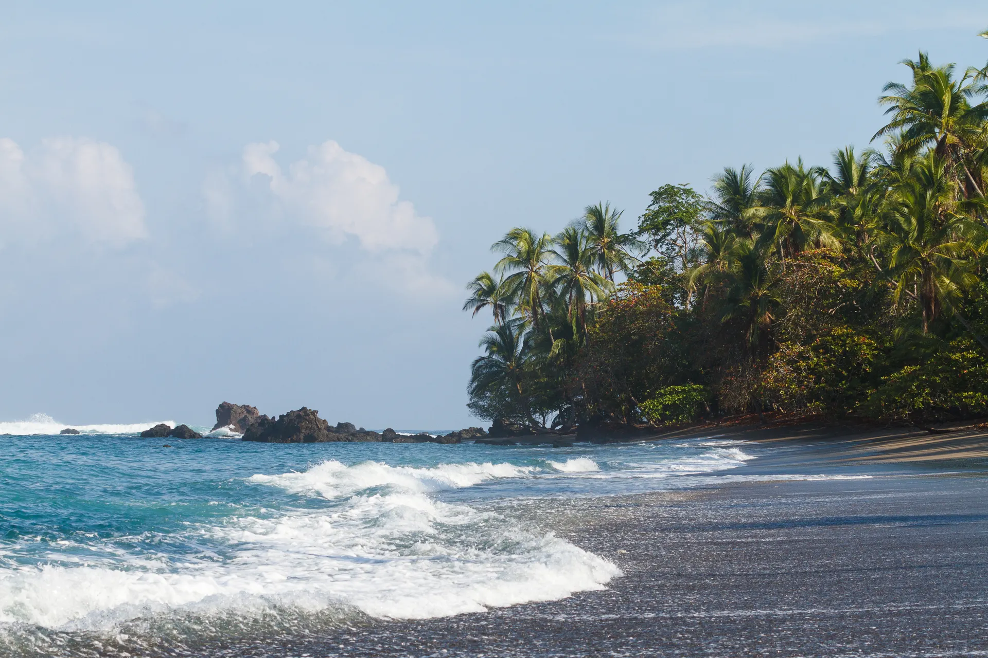 &Olives Costa Rica Golfo Dulce splash