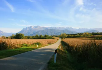 Friuli Venezia Giulia weg in landschap met bergen