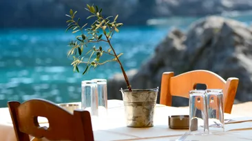 Corfu - restaurant aan zee - olijftak op tafel - &Olives