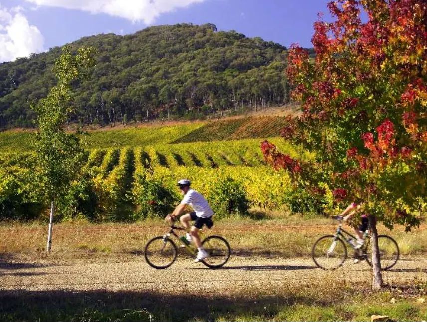 Privé fietsreis De Douro Vallei