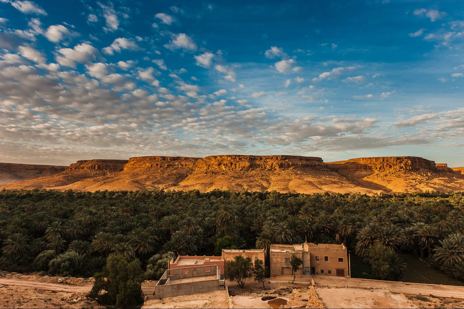 &Olives Morocco beautiful landscape outside a small village in the Draa Valley, near Zagora