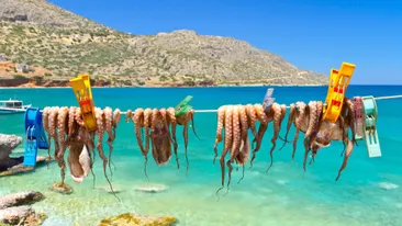 Griekse was, Octopus aan de waslijn, Griekenland