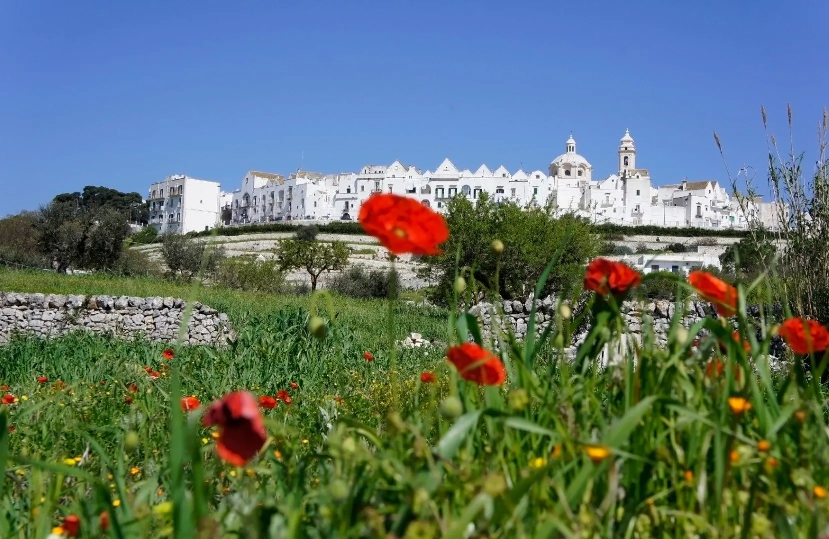 Privé wandelreis Wonderlijk Puglia, wandelen langs de z