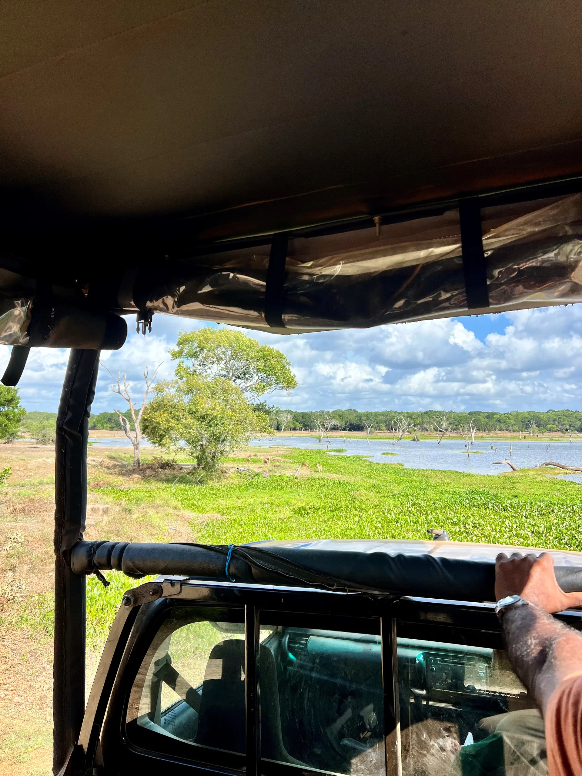 safari wilpattu national park