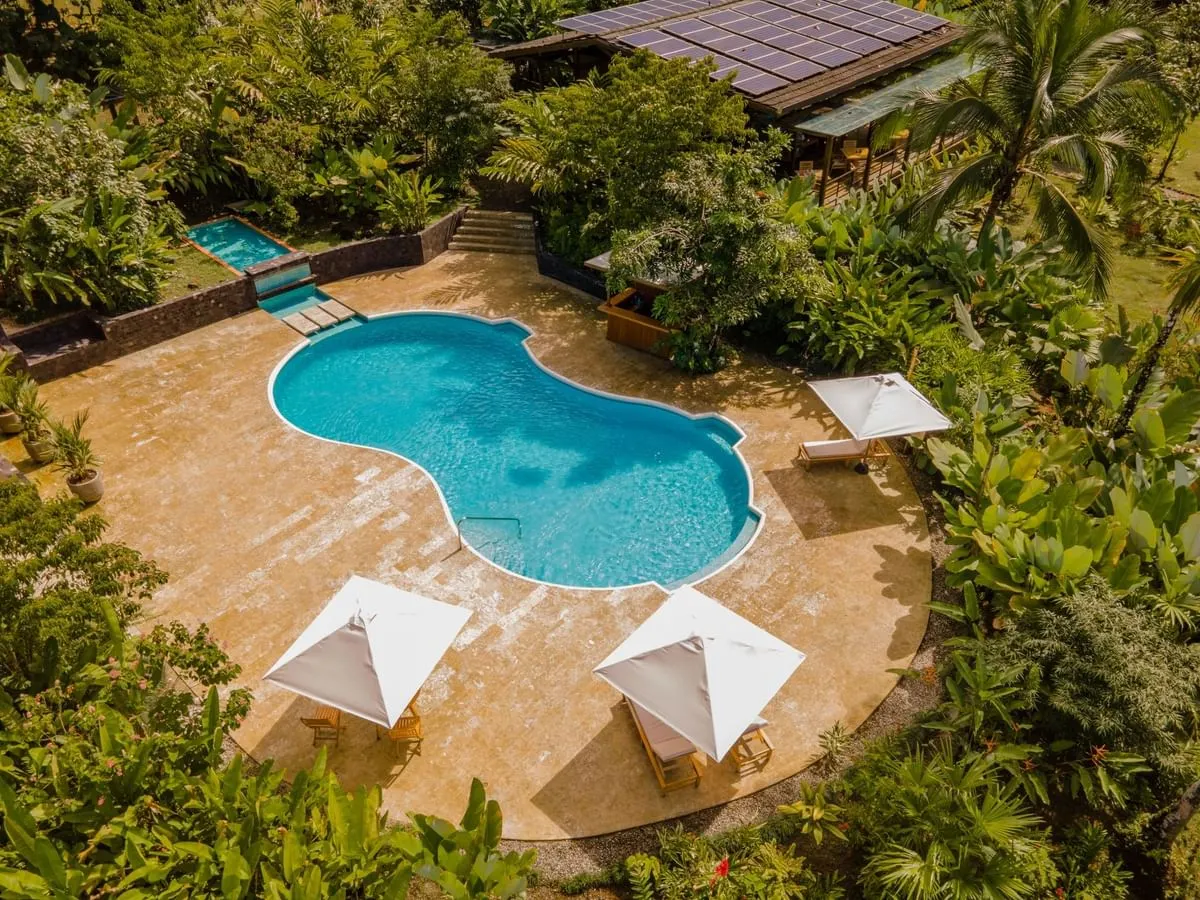 &Olives GolfoDulce PlayaCativoLodge Pool