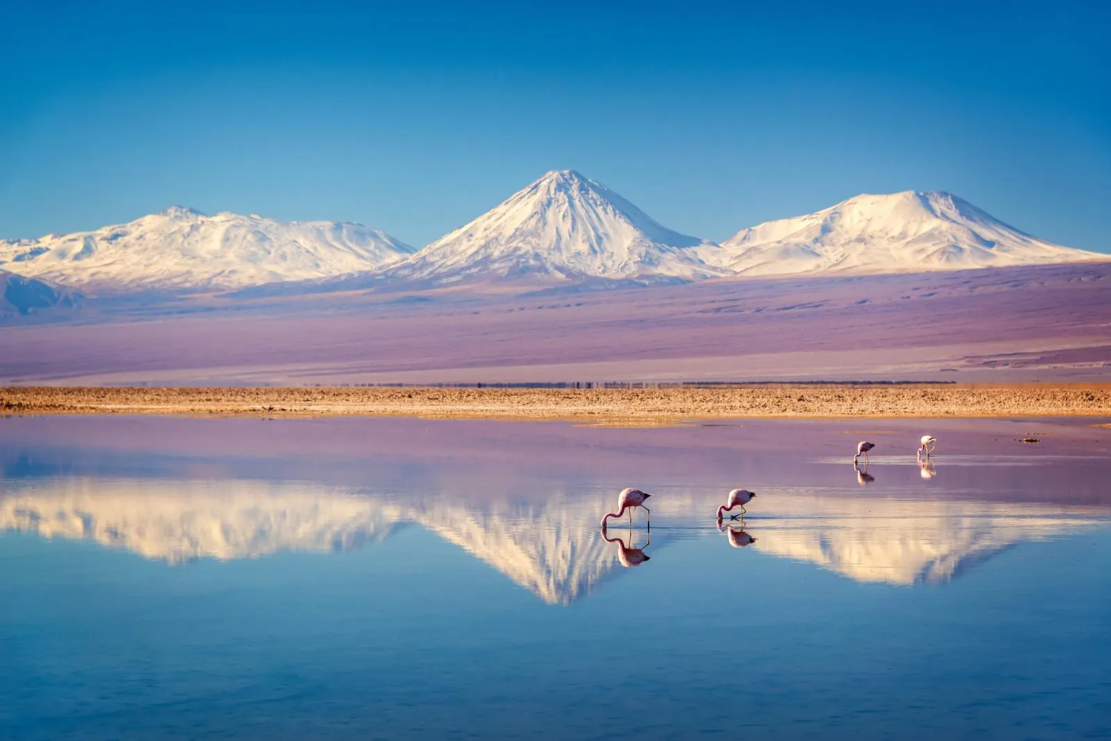 Highlands Atacama