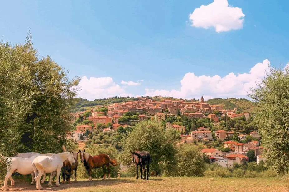 Grand Hotel Impero Spa & Resort - Castel del Piano