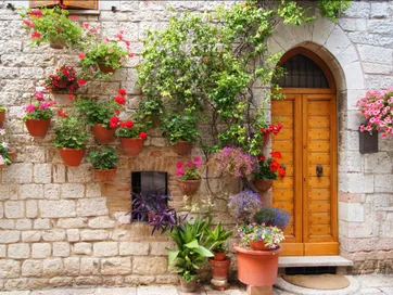Kleurrijke bloemen in Assisi, Umbrië