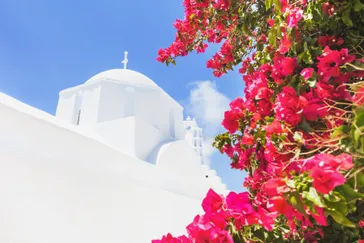 Amorgos - traditionele Griekse straat met bloemen