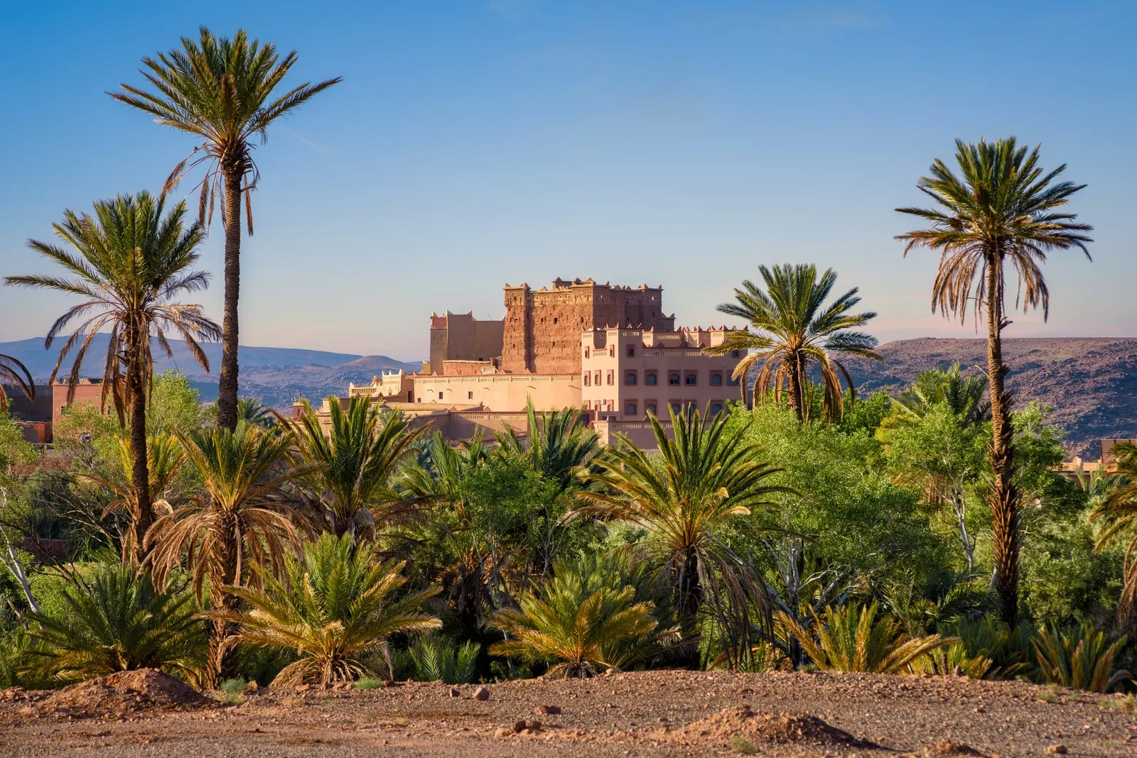 &Olives Morocco Ait Taleb traditional berber clay kasbah in a palm grove in Skoura