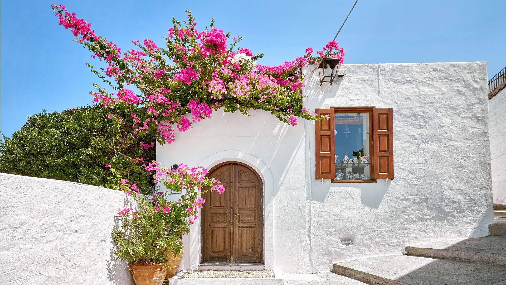 Mooie bloemen in Lindos, Rhodos