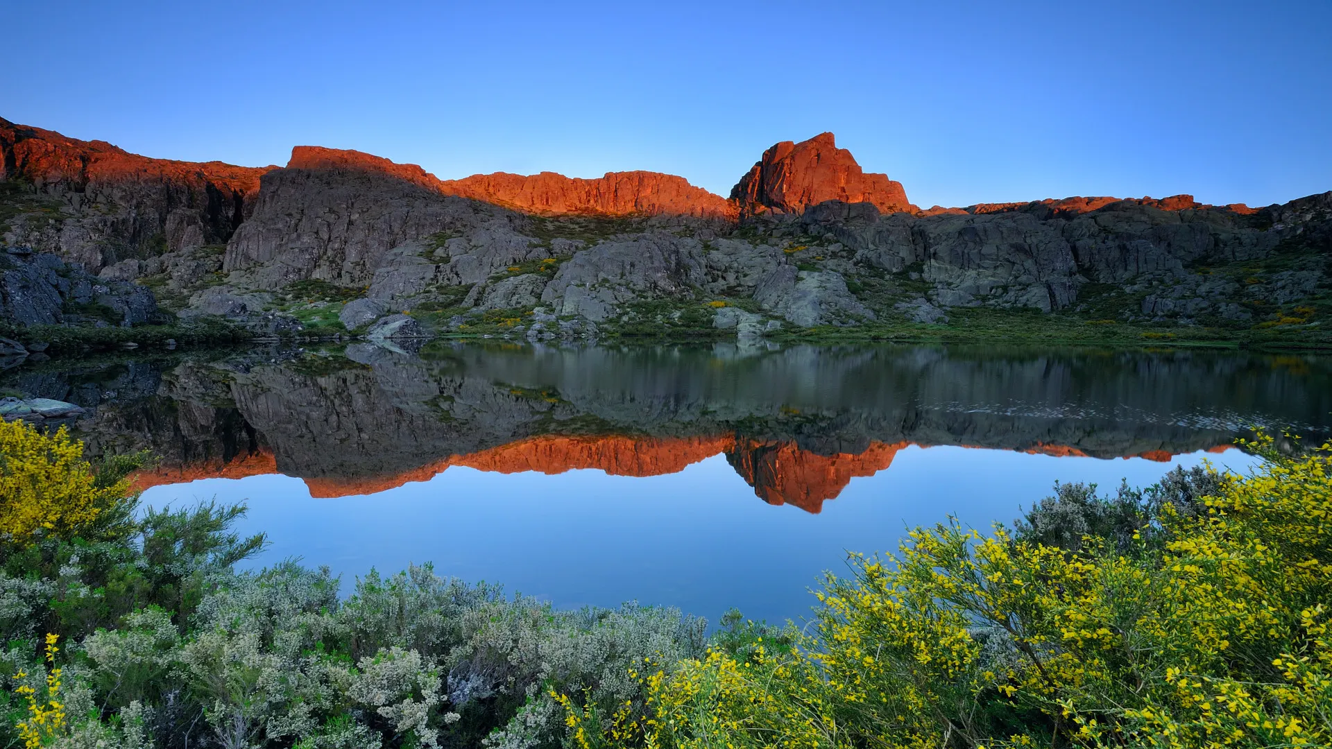 Reflectie meer met rotsen op de achtergrond en planten op de voorgrond, Lagoa da Paix, Serra da Estrela, Centraal Portugal