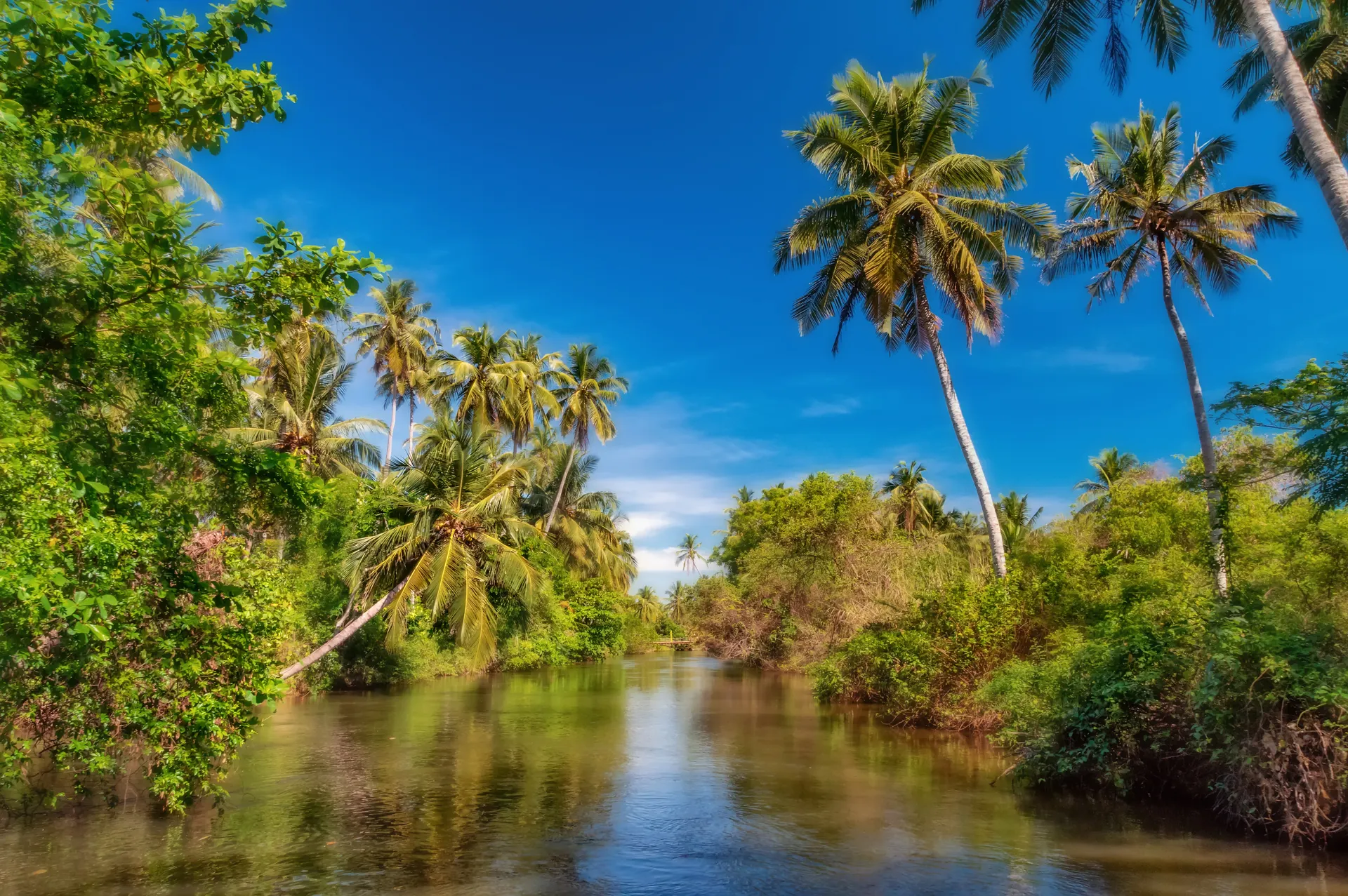 Sri Lanka Negombo Rivier met natuur
