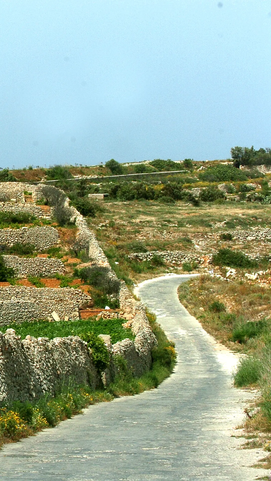 Auto inclusief Malta