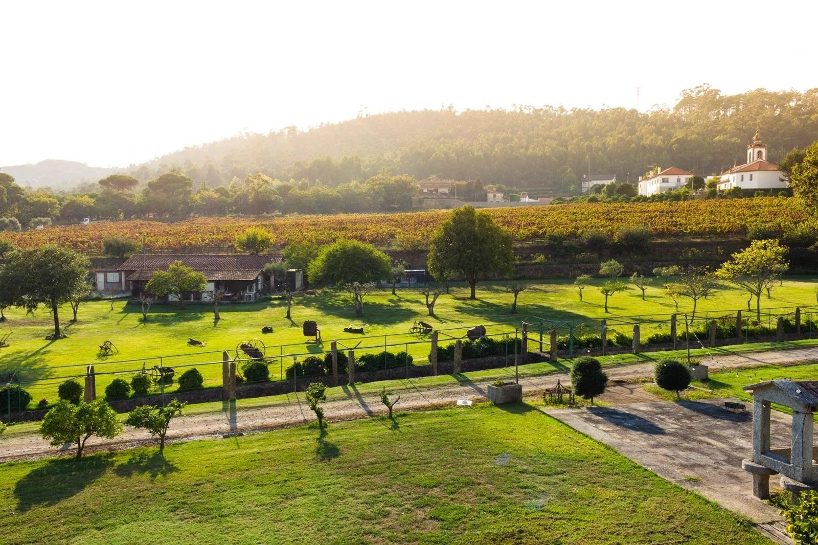 Fly-drive Noord Portugal (solares) 8 dagen