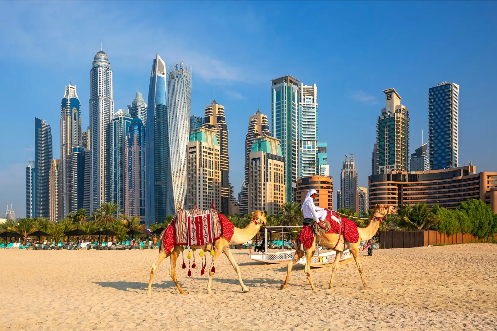 View on Dubai Marina, camels and famous Jumeirah beach in Dubai, UAE