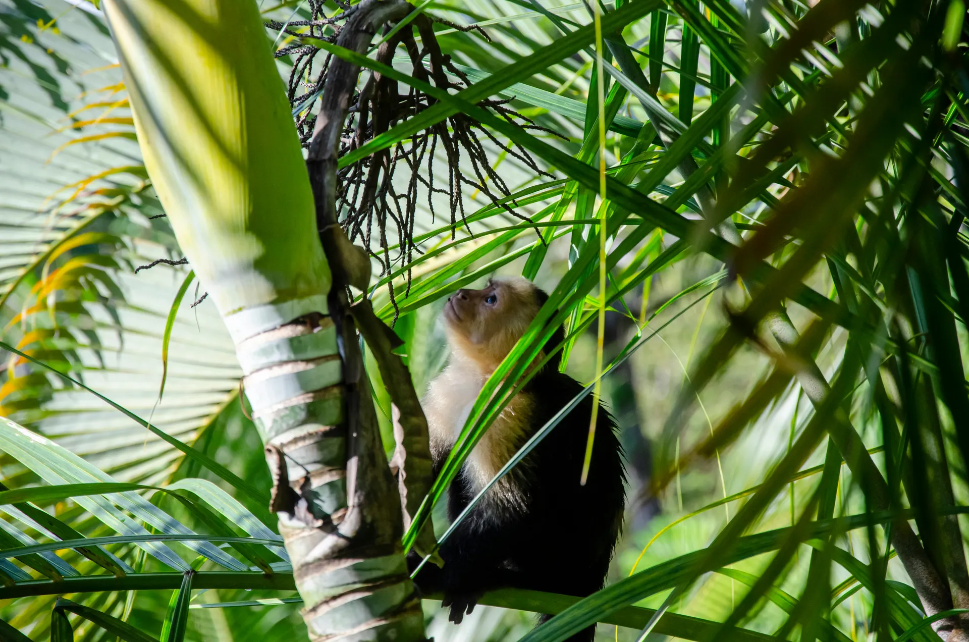 &OLives-Costa Rica-excursie-boottocht