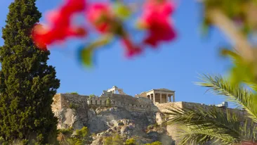 Uitzicht op Acropolis, met wazige bloem op voorgrond, Athene, Griekenland